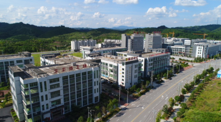 湖南麻陽產品出口東盟班列首發
