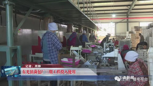 東光鎮菌包廠三期工程投入使用