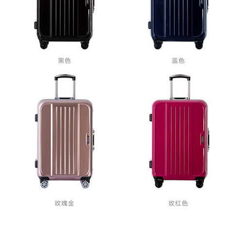 洋湖軒榭2019鋁框密碼拉桿箱包 202428寸萬向輪學生旅行箱子 男女商務