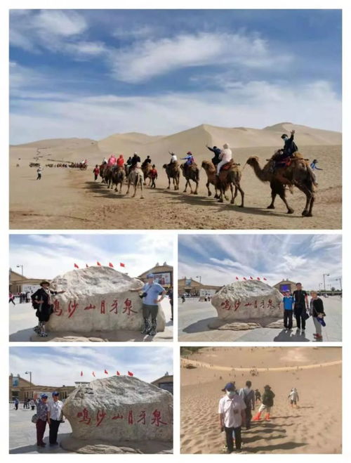 愛(ài)旅游丨記者田震帶隊(duì) 包火車(chē) 游新疆 團(tuán)友們玩嗨了